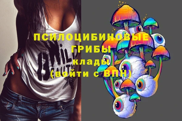 ешки Нефтекумск