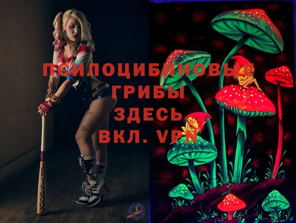 прущая мука Краснослободск