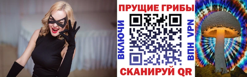 Псилоцибиновые грибы Magic Shrooms  Ревда 