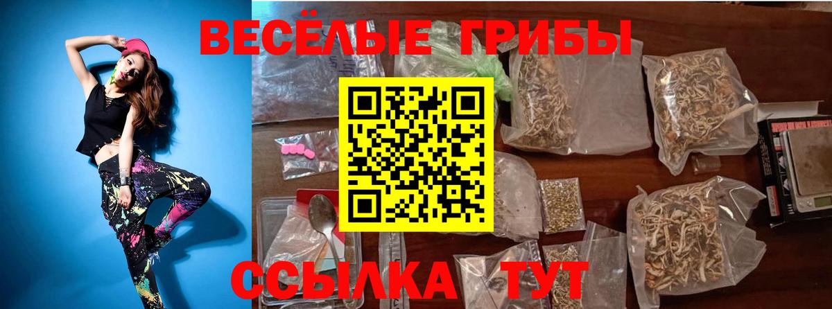 Псилоцибиновые грибы Magic Shrooms Ревда