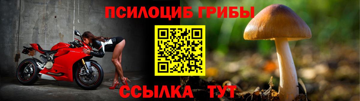 Ревда  Псилоцибиновые грибы Psilocybe  Вход с VPN 
